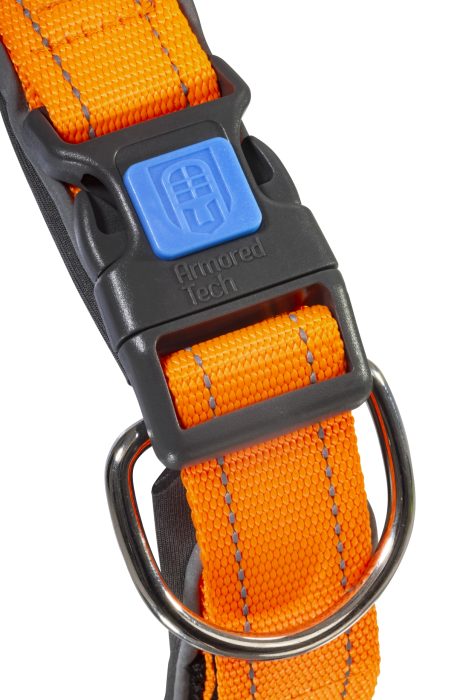 Dog Control Halsband L orange