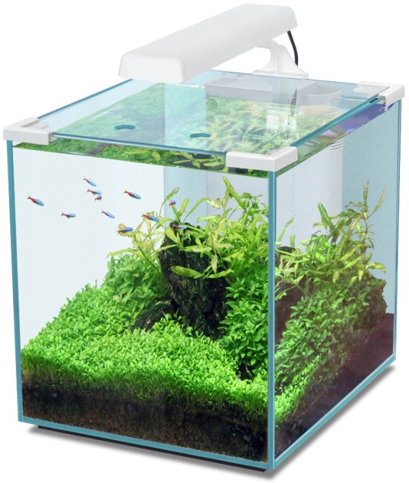 Nano Cubic 30 LED weiß Aquarienset