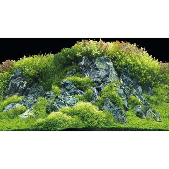 Fotorückwand River/Rocks (120x50 cm)