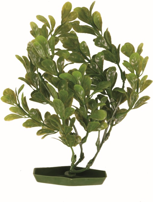 Plastic Plant with Plastic Foot, 17 cm, assorted