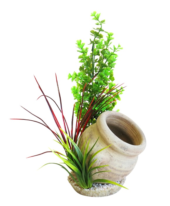 Plante Jar 35 cm de haut [P3]