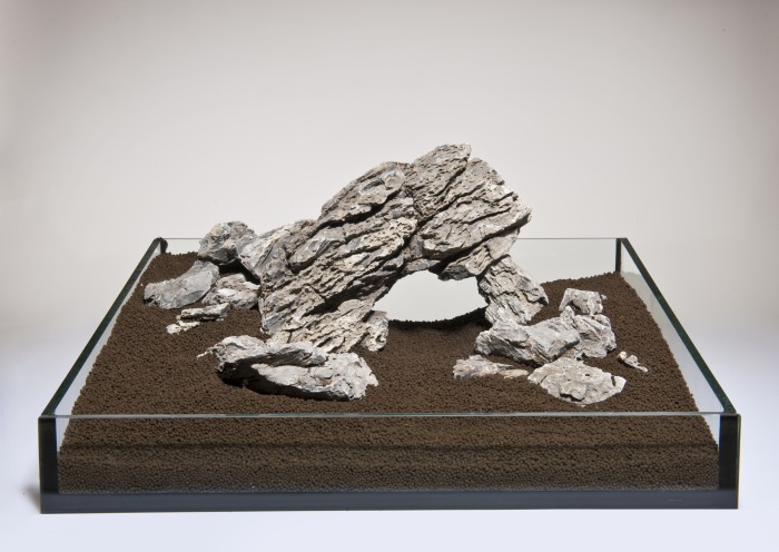 Mini-Landschaft M (2,3-2,7 kg) [P10]