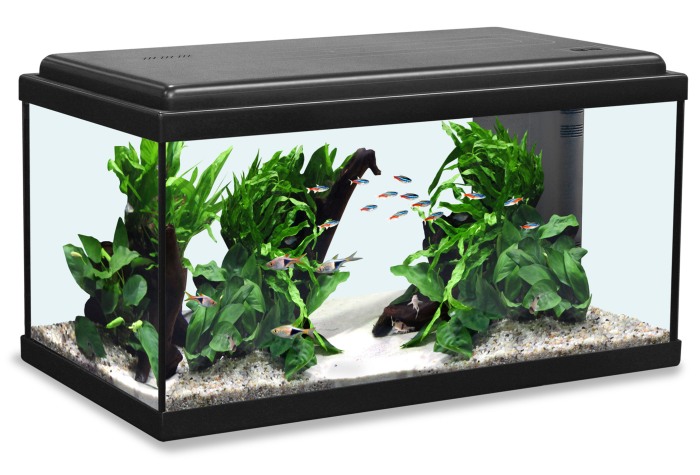 Advance 60 LED Aquarienset schwarz