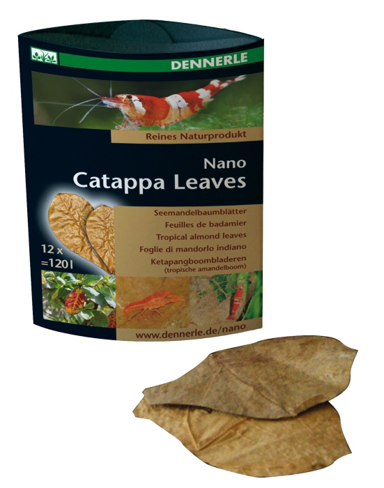Nano Catappa Leaves (12 Stück)