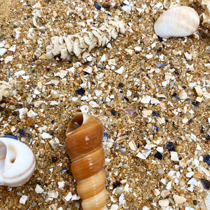 Me Nature World Habitat Rift (3kg)