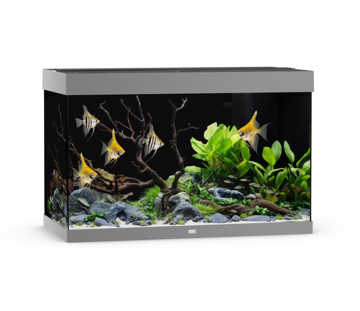 Rio 290 LED grau Aquarium