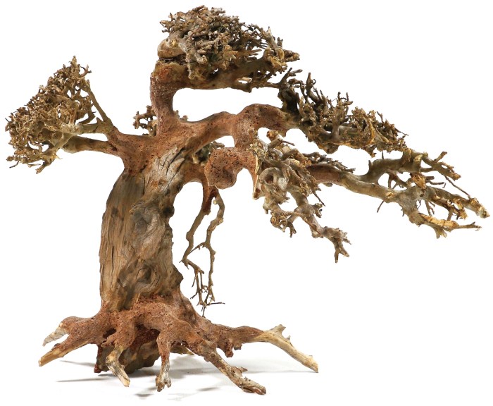 Aqua-Bonsai M (23-30 cm)