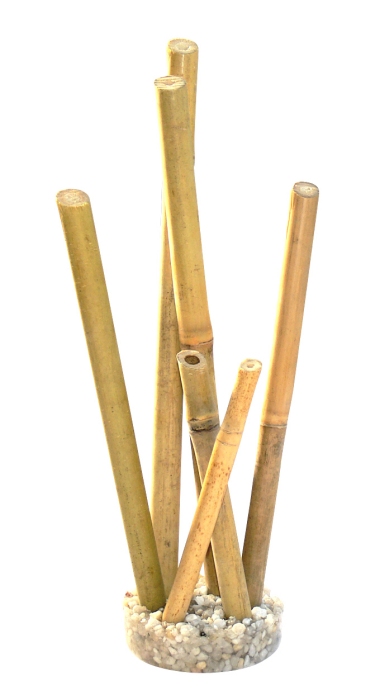 Bambou naturel grand 25 cm de haut [P6]