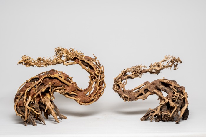 Drachen-Bonsai L (H: 30-35 cm, L: 37-40 cm)