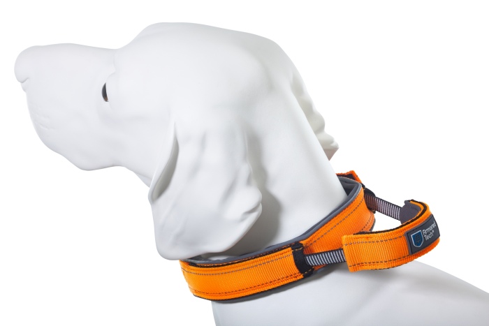 Collier Dog Control XS orange
