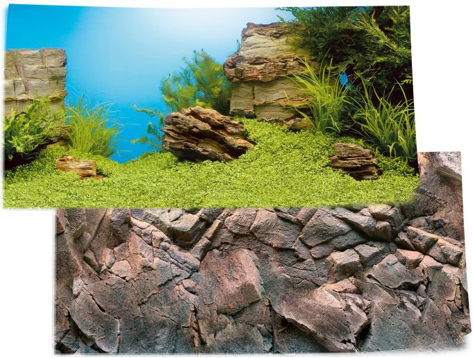 Poster 1 L (100 x 50 cm)