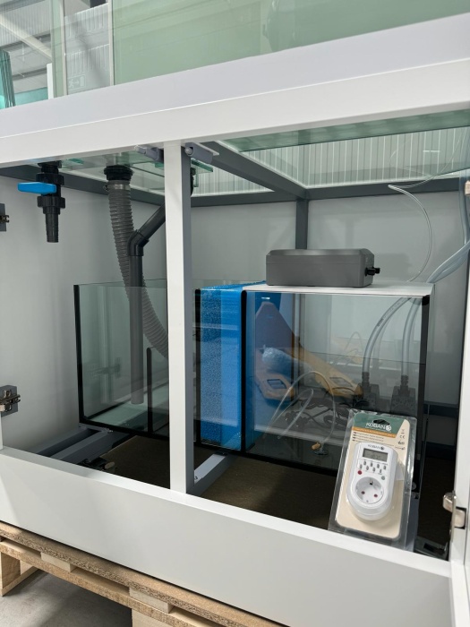 The Greenbox Black 176 Plants Basic incl. WRGB