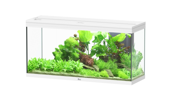 Splendid Ultra 240 Weiß Aquarium