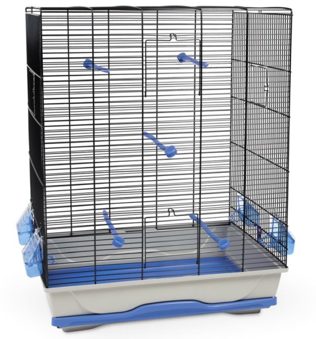 Ambra Grau Schwarz, Vogelheim