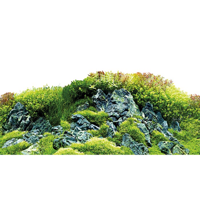 Fotorückwand-Zuschnitt Scaping Hill/Scaping Forest 60x30 cm