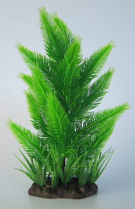 Pflanzen Deluxe M Nr. 6 (18 - 22 cm)