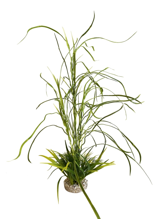 Aquaplant moyen 22 cm de haut [P6]