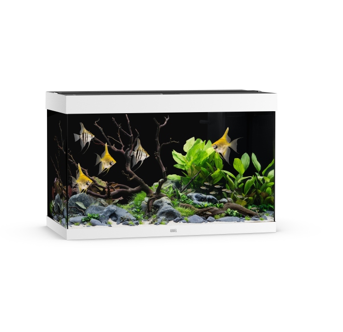 Rio 290 LED weiß Aquarium