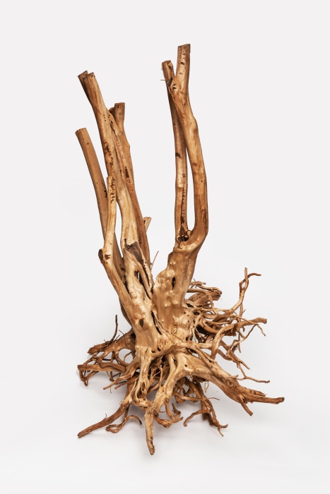 Wood Stumps (1 kg)
