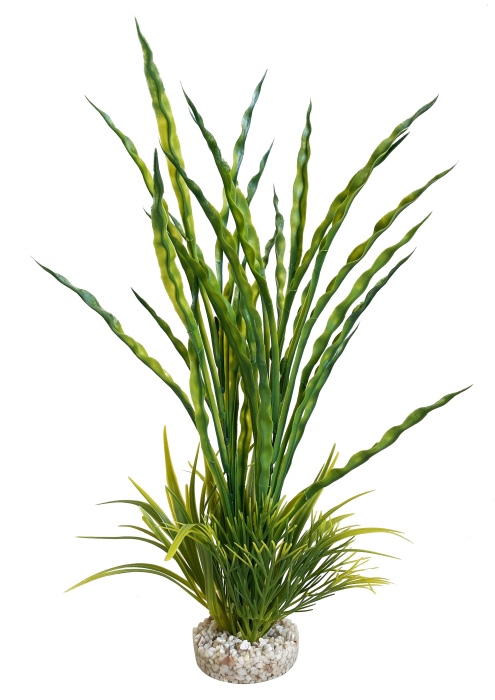 Herbe Atoll 35 cm de haut [P8]