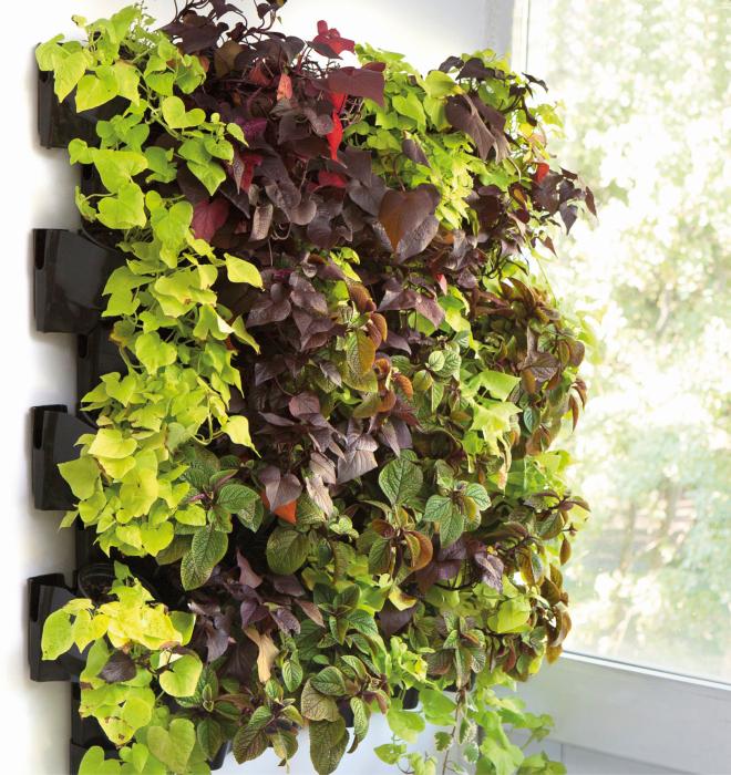 Wall Module VERSA GARDEN Starter Kit