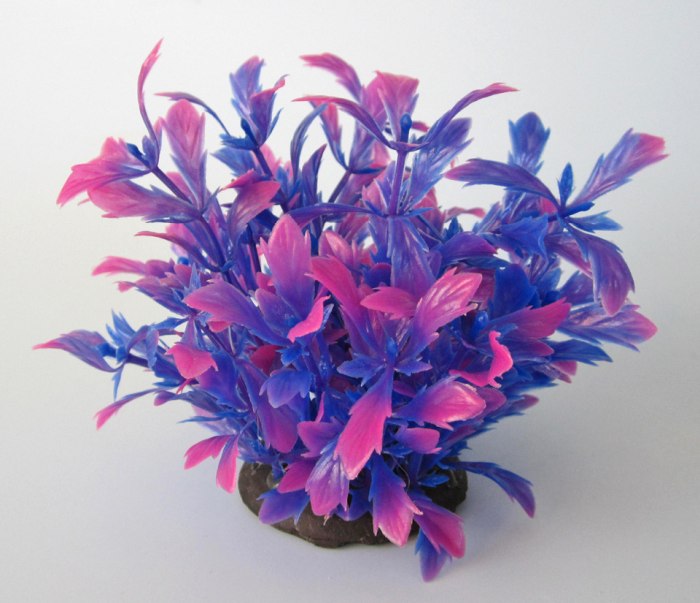 Pflanzen Deluxe S Nr. 21 (8 - 12 cm)