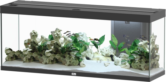 Splendid Ultra 300 Schwarz Aquarium
