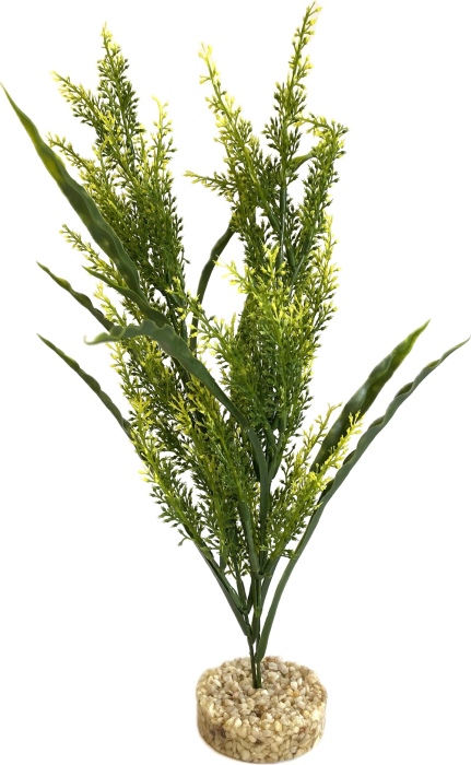 Aqua Forest Sicily 40 cm hoch [P4]