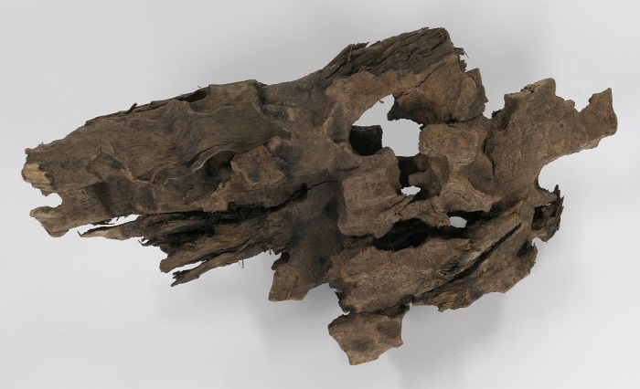 Caruqa-Wurzel Drachenholz, Large