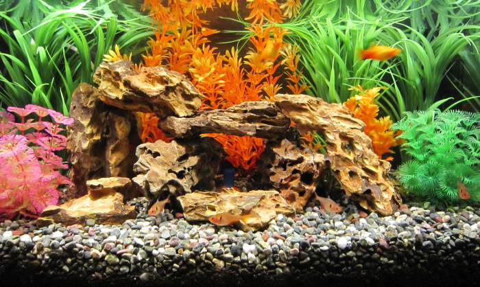 Calari-Rock L (1,5 - 2,5 kg)