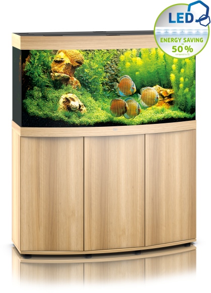 Vision 260 LED SBX helles Holz Kombination