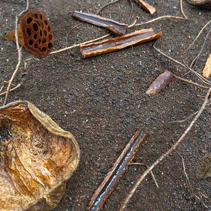 Me Nature World Habitat Tropical (3kg)