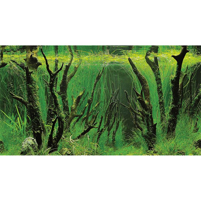 Poster de fond découpé Canyon/Woodland 60x30 cm