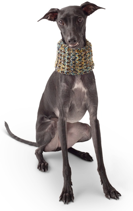 SCOUT Tube Scarf - Navy - L