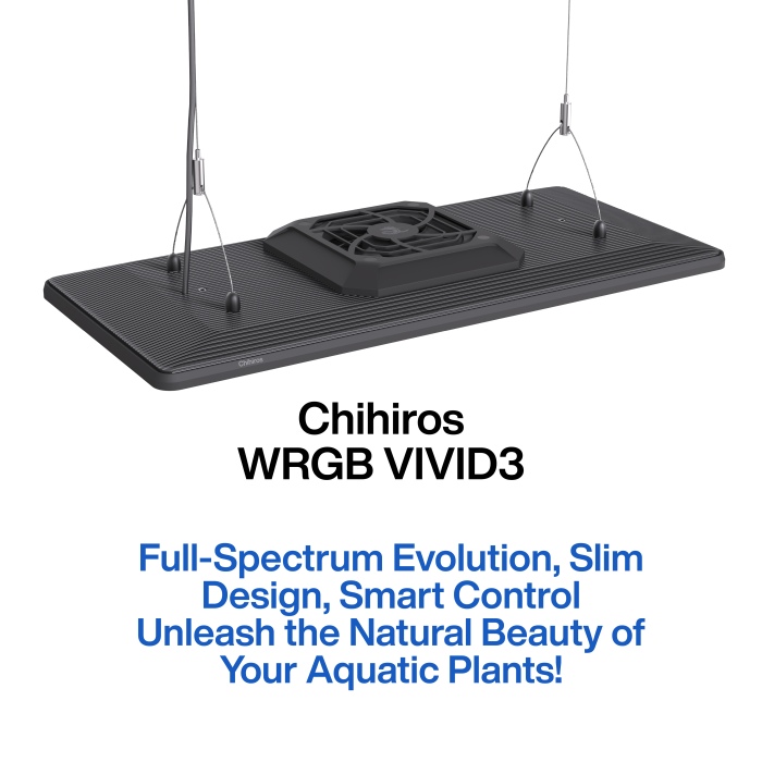 WRGB Vivid3 60-90 cm (180 W) Schwarz - DE Version