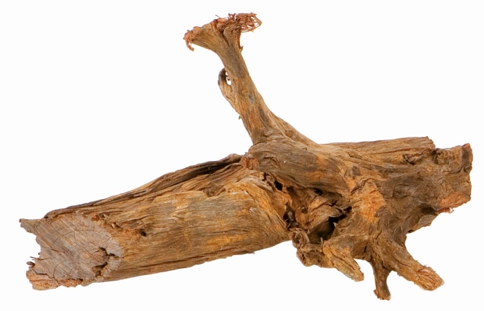 Mangrovenwurzel M, 25-45 cm