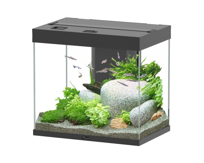 Splendid Ultra 110 Schwarz Aquarium