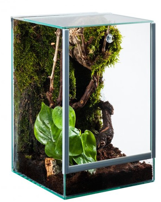 Me Top-Glas Terra Spider (20 x 20 x 20 cm) 3 mm