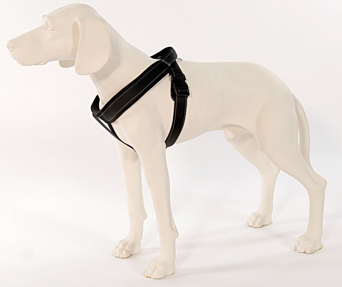 Sport Harness Long Line M black