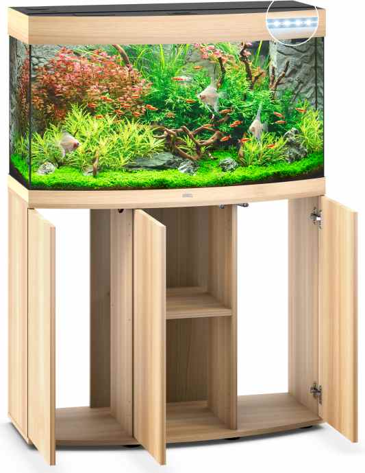 Vision 180 LED SBX helles Holz Kombination