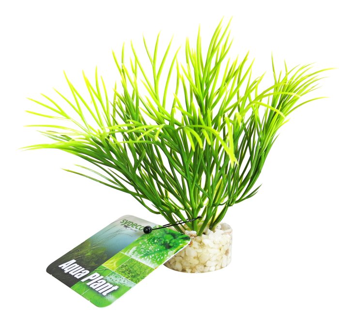 Nano Plante Verte 11 cm de haut [P24]