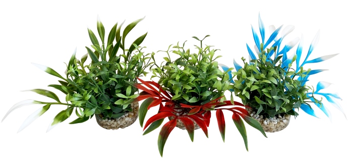 Jardin Nano Magique 10 cm de haut [P12]