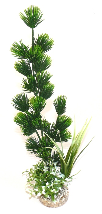 Forêt Aqua Sardaigne 41 cm de haut [P6]