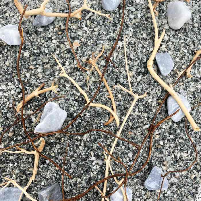 Me Nature World Habitat Lake (3kg)