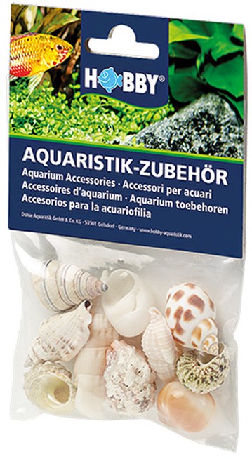 Sea Shells Set M (10 Stück)