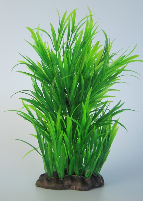Pflanzen Deluxe M Nr. 9 (18 - 22 cm)