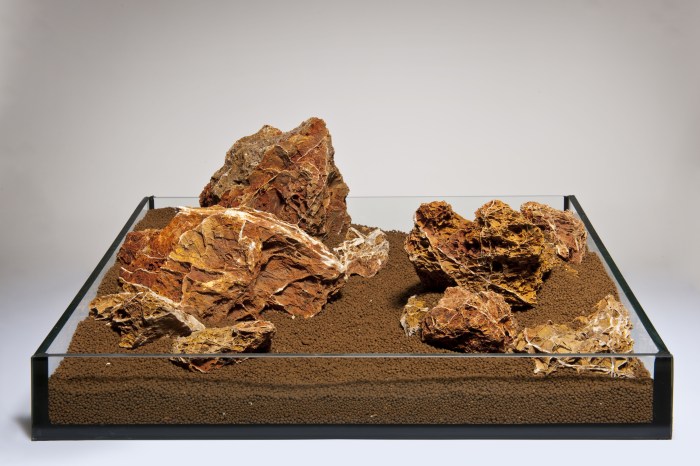 Feuilles fossilisées S (0,8–1,2 kg) [P25]