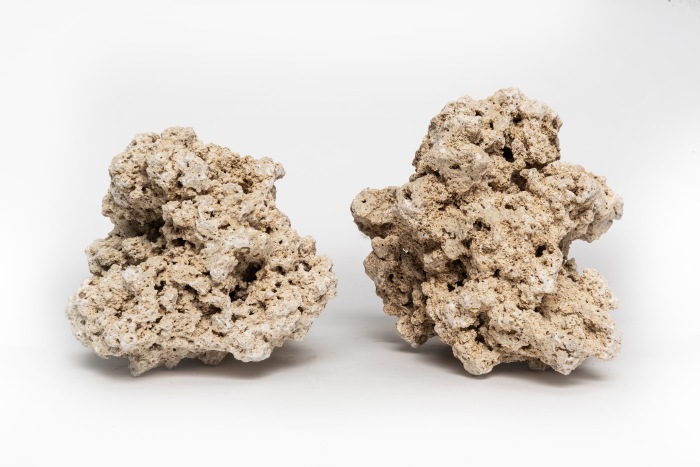 (Save the) Reef Rock Mix (1kg) [P18]