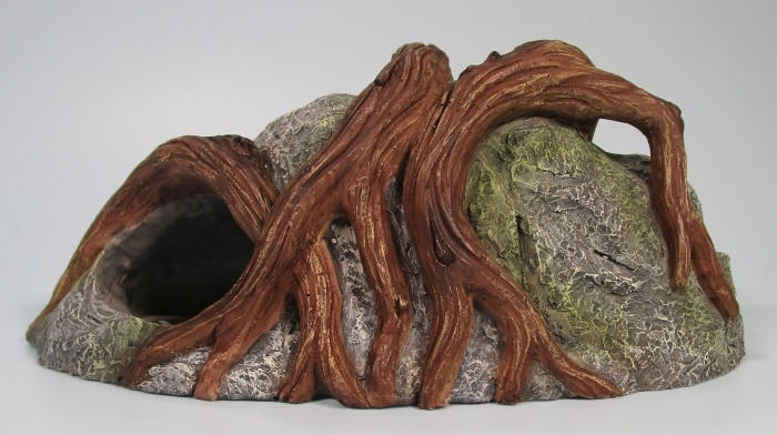 Felsenwurzel small (21 cm)