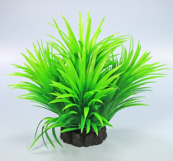 Pflanzen Deluxe S Nr. 37 (8 - 12 cm)